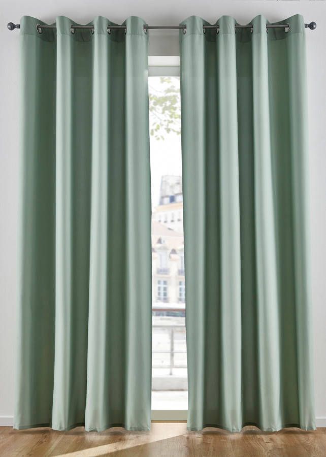 bpc living bonprix collection Effen gordijn van microvezel (set van 2), lichtgroen